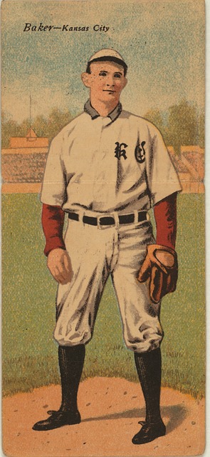 了引进一名 了引进一名