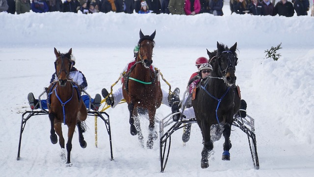 取得佳绩 取得佳绩