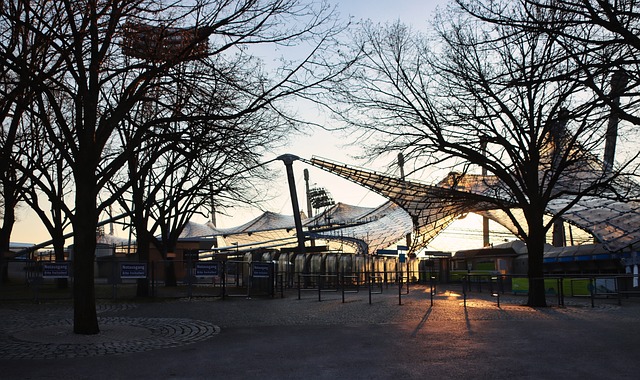 曾评价普约 曾评价普约