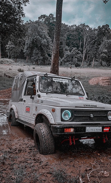 以下是勇士 以下是勇士