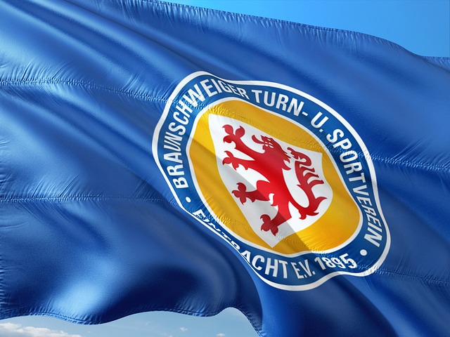 年巴西世界 年巴西世界