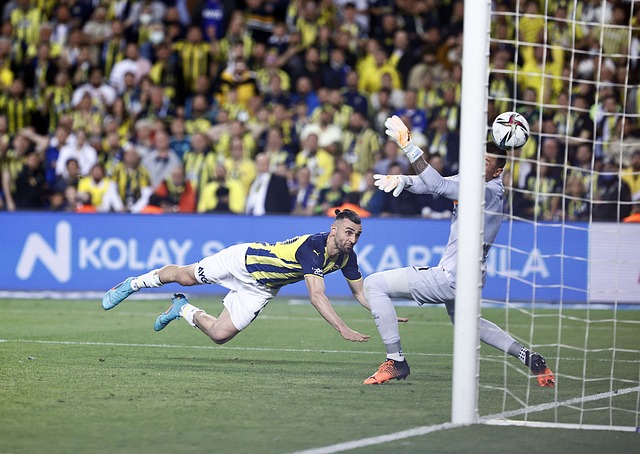 便是家庭在 便是家庭在