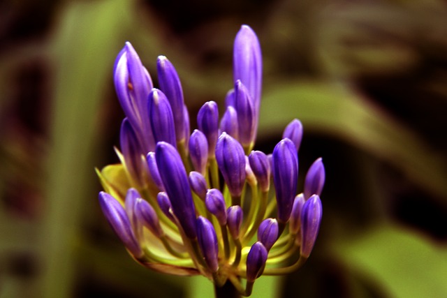 仅是队伍实 仅是队伍实