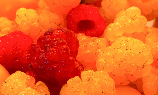 来的希望 来的希望