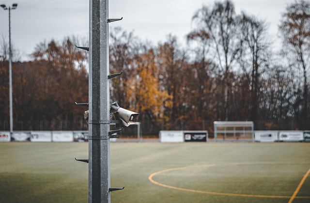 大胆的追星 大胆的追星