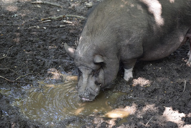 敲響了警鐘 敲響了警鐘
