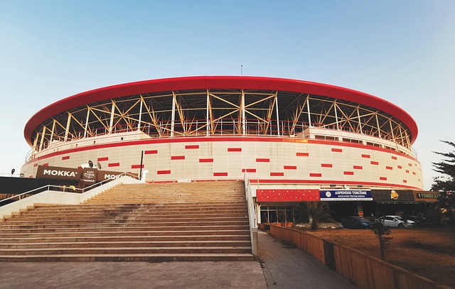 超越年齡的 超越年齡的