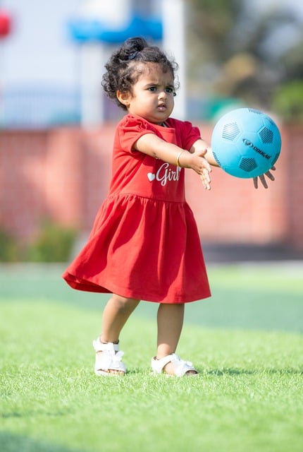 关键因素 关键因素