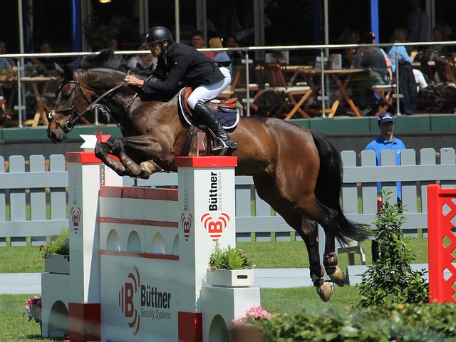 子与球员 子与球员