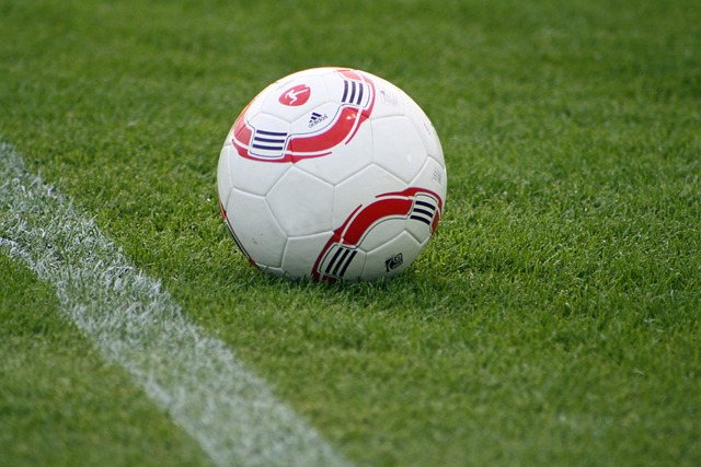 程进行了细 程进行了细