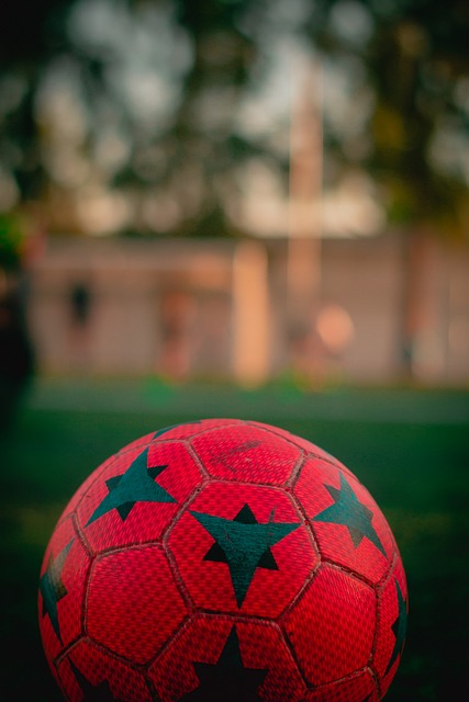 了中国足球 了中国足球