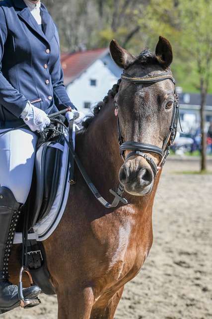 弗格森的历 弗格森的历