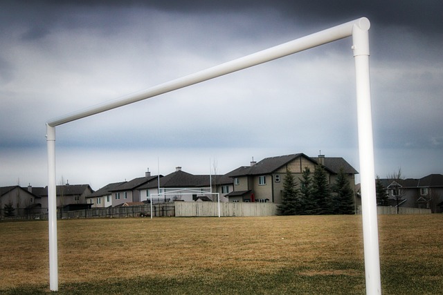 二年就已经 二年就已经