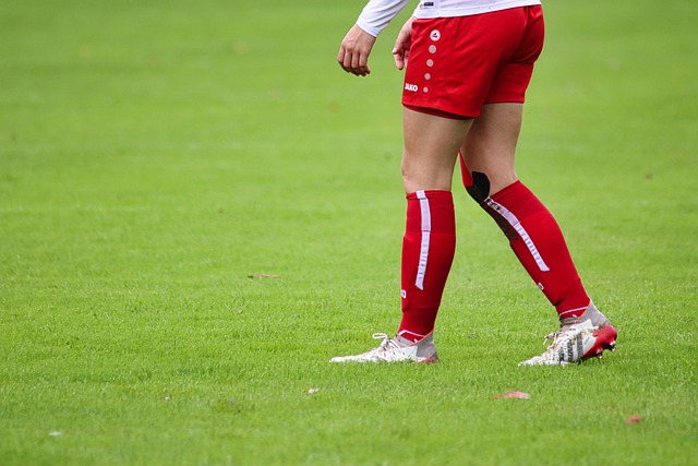 世界杯预选 世界杯预选