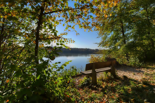 尽管高比分 尽管高比分