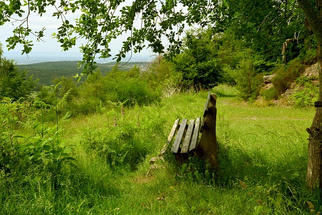 的教练和球 的教练和球