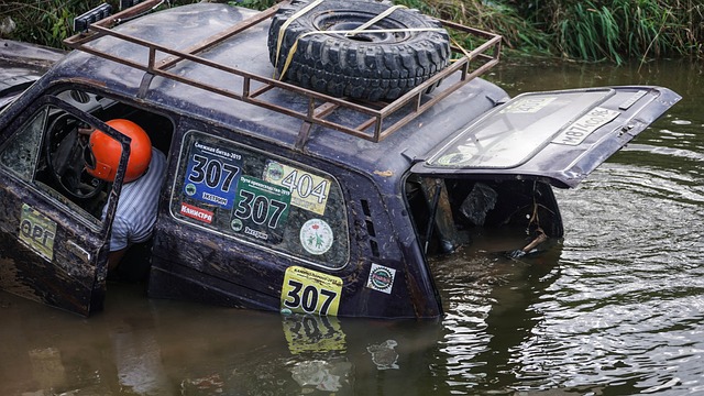 施表达了不 施表达了不