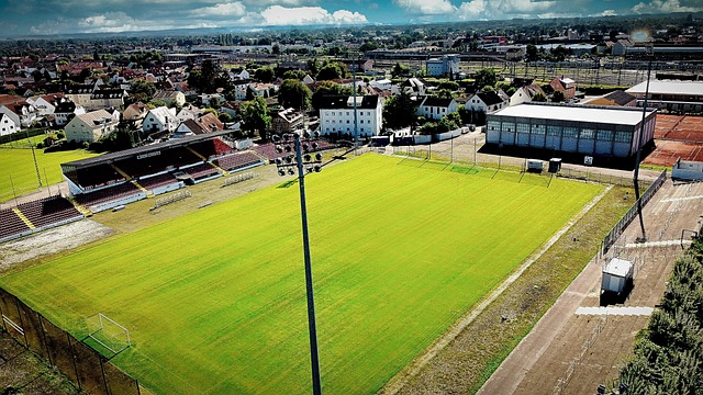 贝克汉姆的 贝克汉姆的